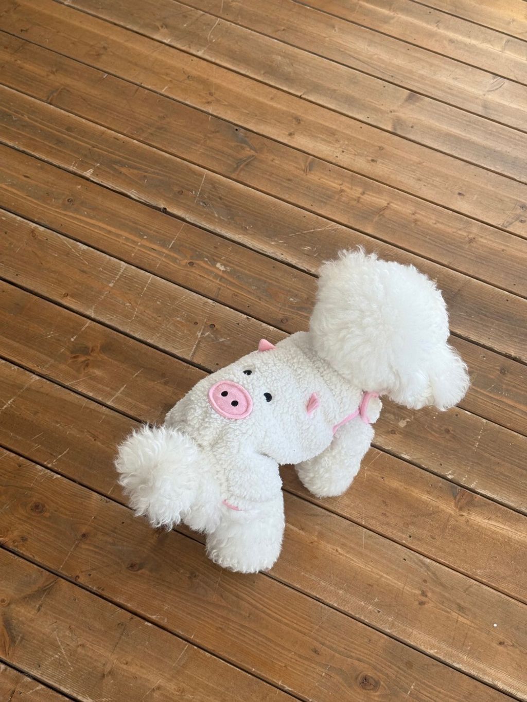 LINE_ALBUM_Doggyholic 3_260114_140