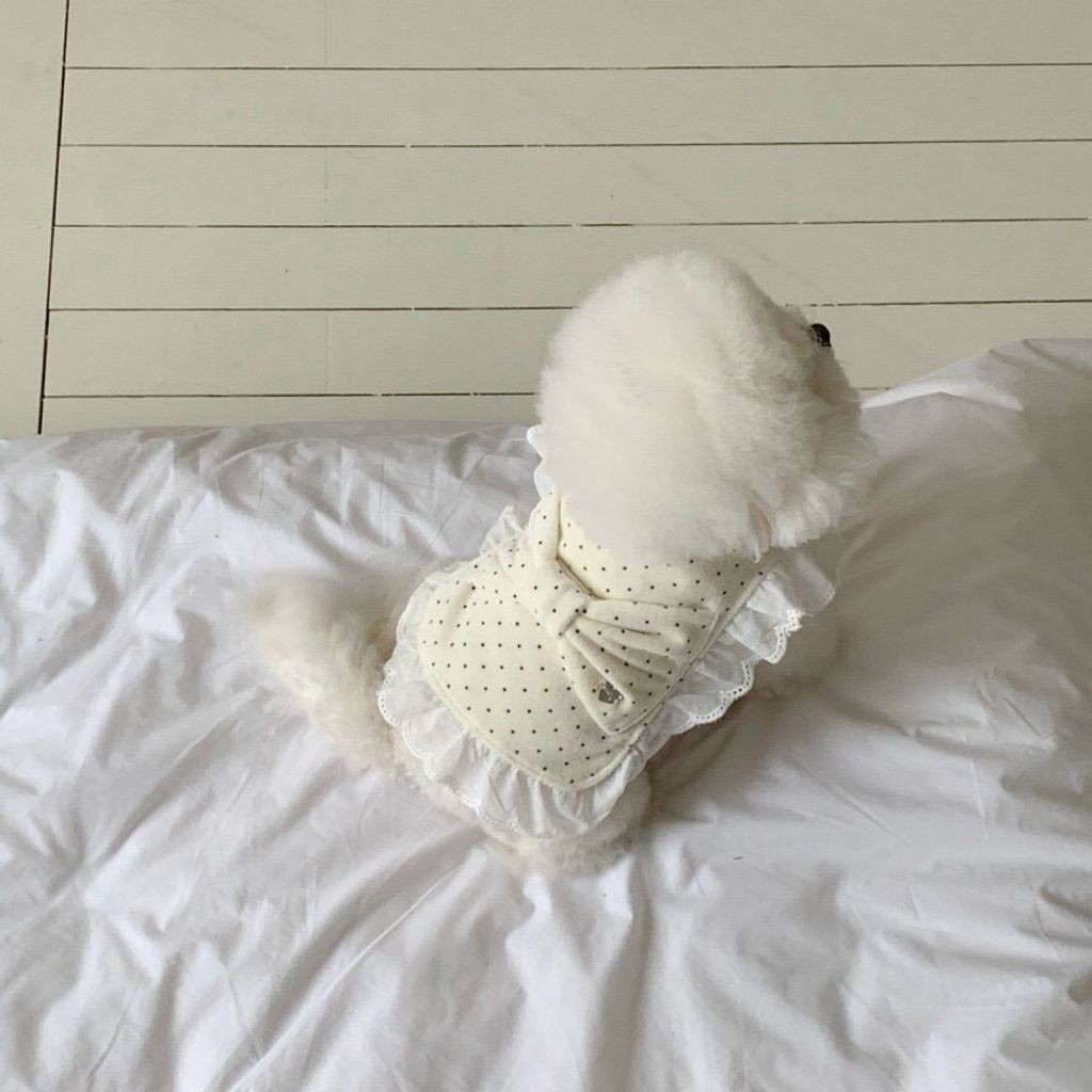 LINE_ALBUM_Doggyholic 3_260114_102