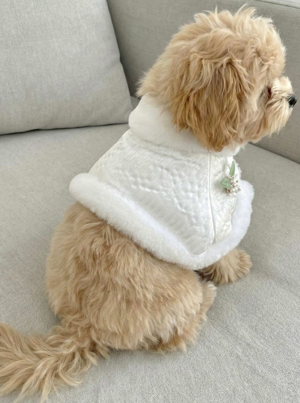 LINE_ALBUM_Doggyholic 4_260114_10