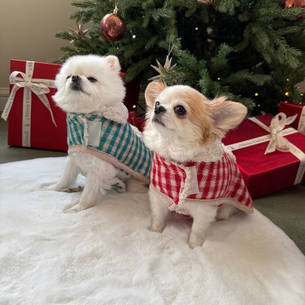 LINE_ALBUM_Appleapple_260114_26