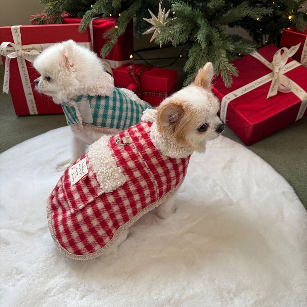 LINE_ALBUM_Appleapple_260114_25