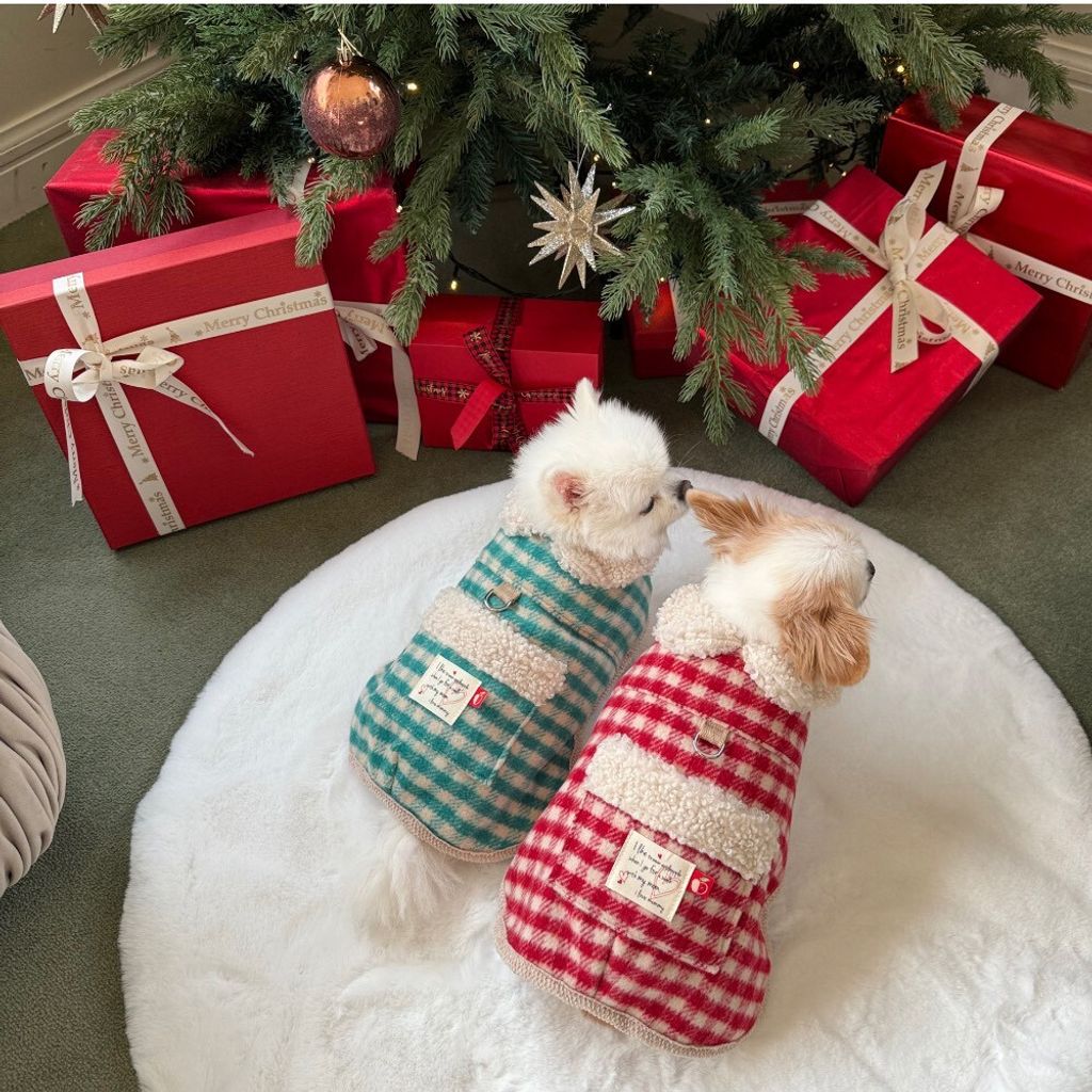 LINE_ALBUM_Appleapple_260114_28