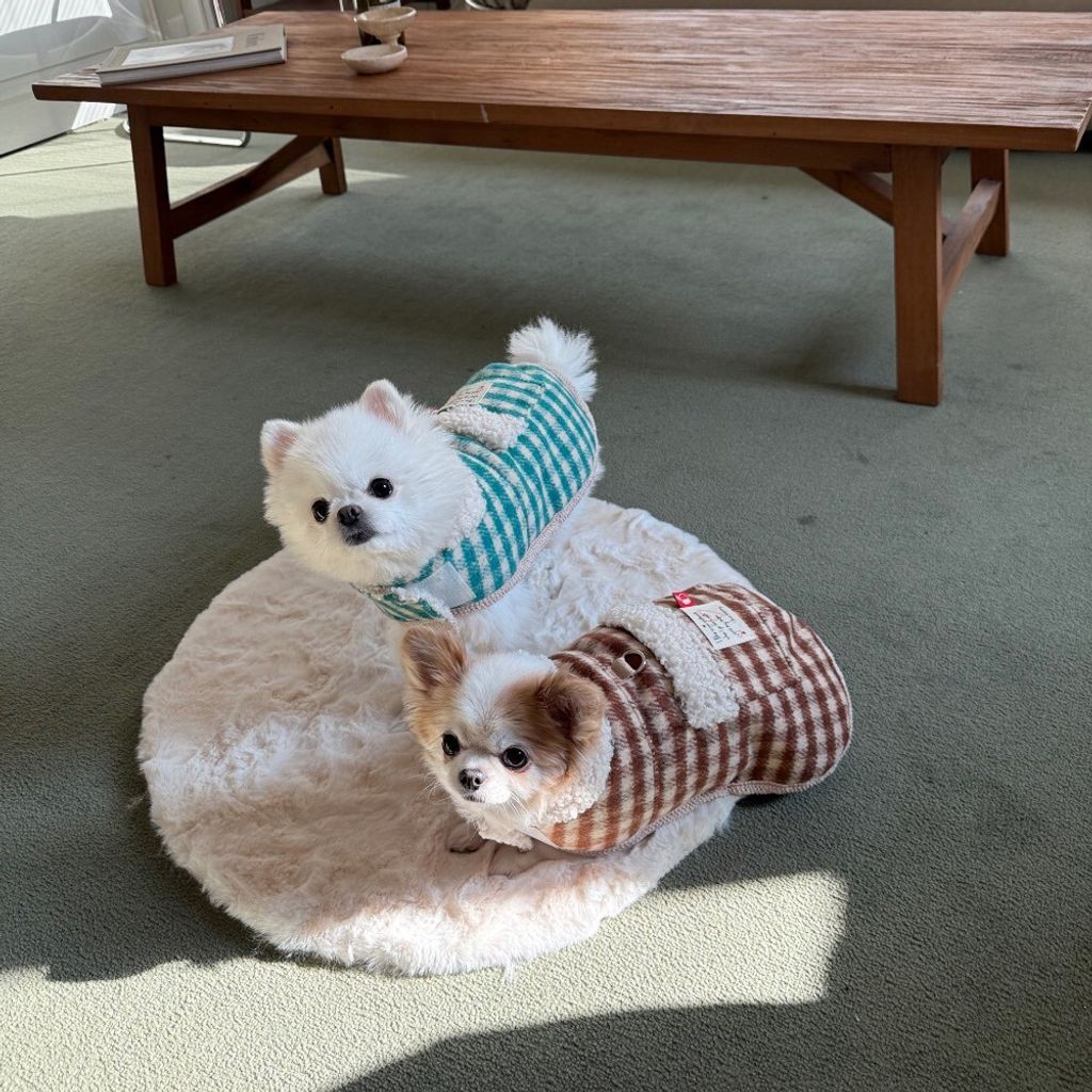 LINE_ALBUM_Appleapple_260114_21