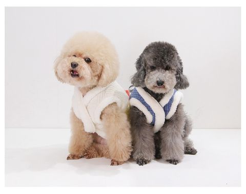 LINE_ALBUM_Appleapple_260114_7