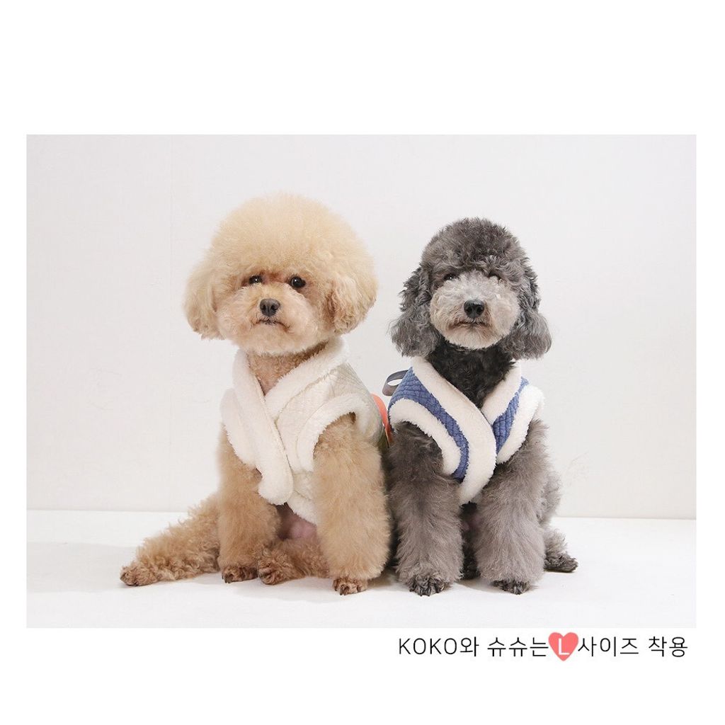 LINE_ALBUM_Appleapple_260114_12