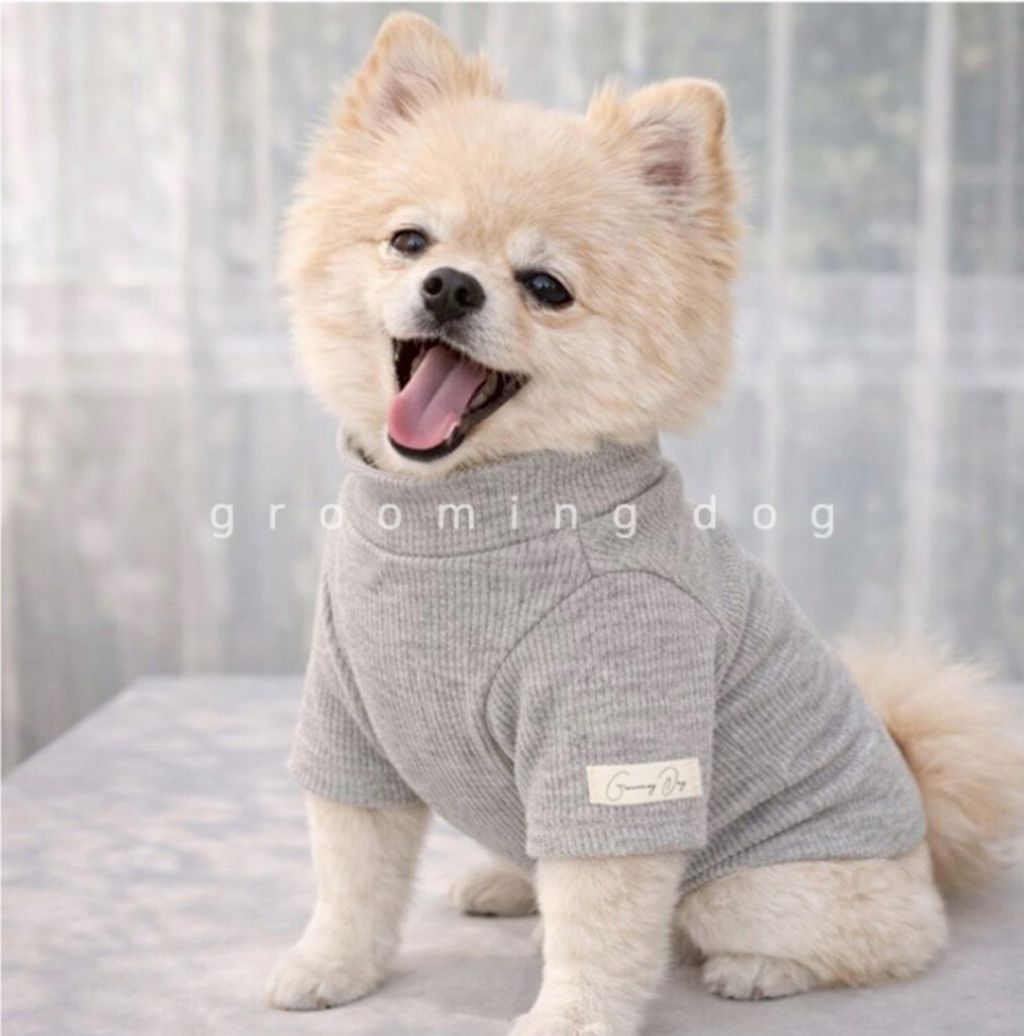 LINE_ALBUM_Grooming dog_260115_77