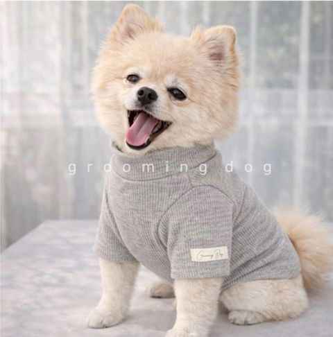 LINE_ALBUM_Grooming dog_260115_77