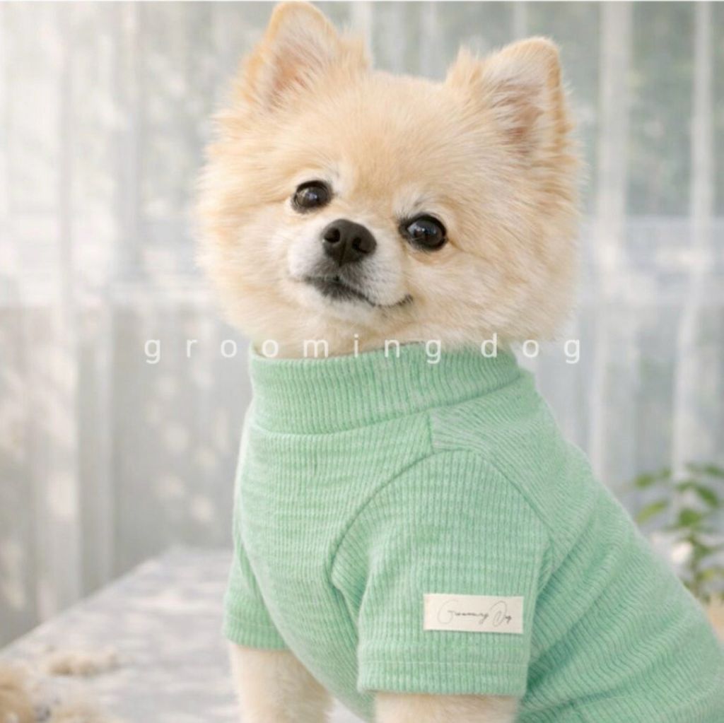 LINE_ALBUM_Grooming dog_260115_81