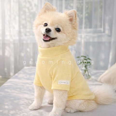 LINE_ALBUM_Grooming dog_260115_83