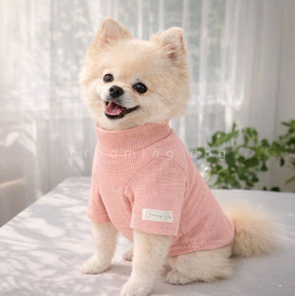 LINE_ALBUM_Grooming dog_260115_87