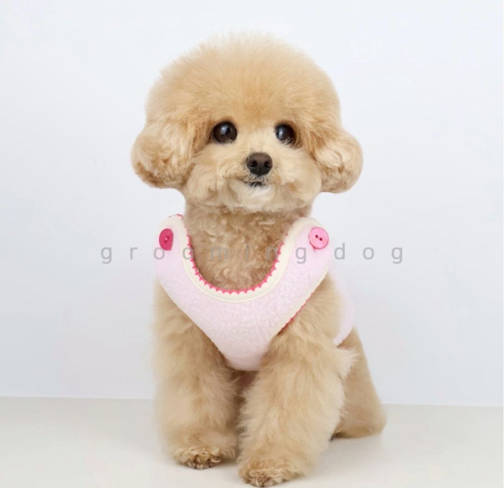 LINE_ALBUM_Grooming dog_260115_66