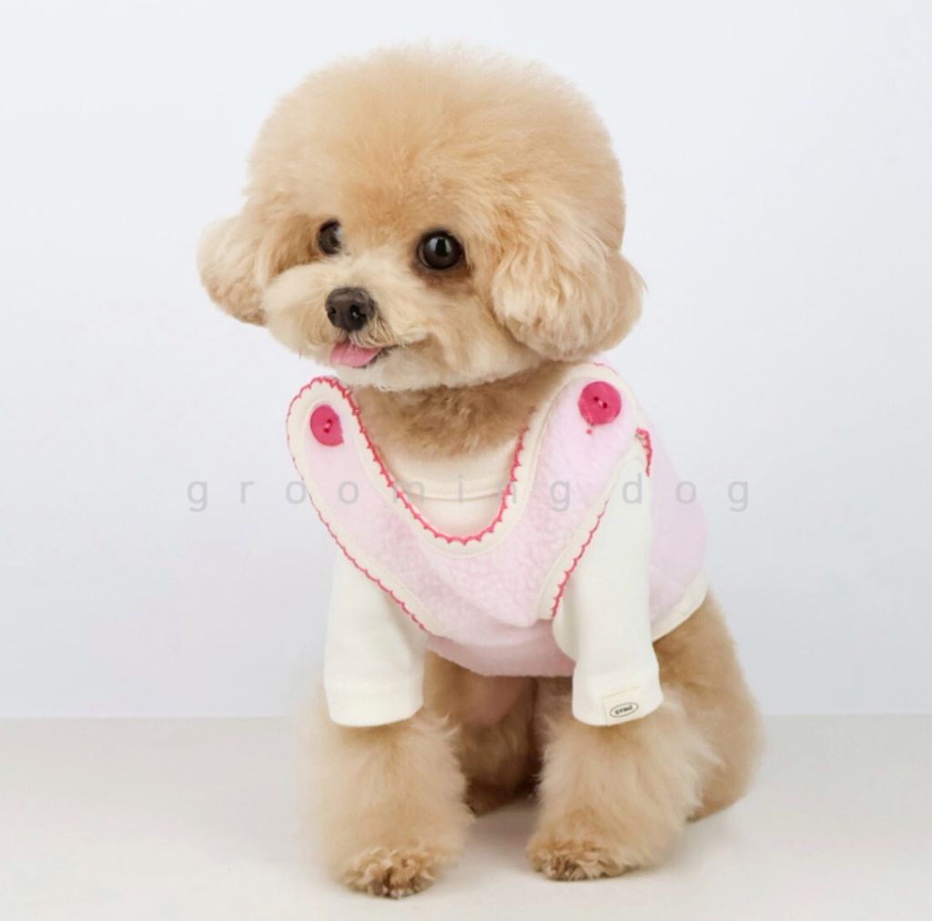 LINE_ALBUM_Grooming dog_260115_63