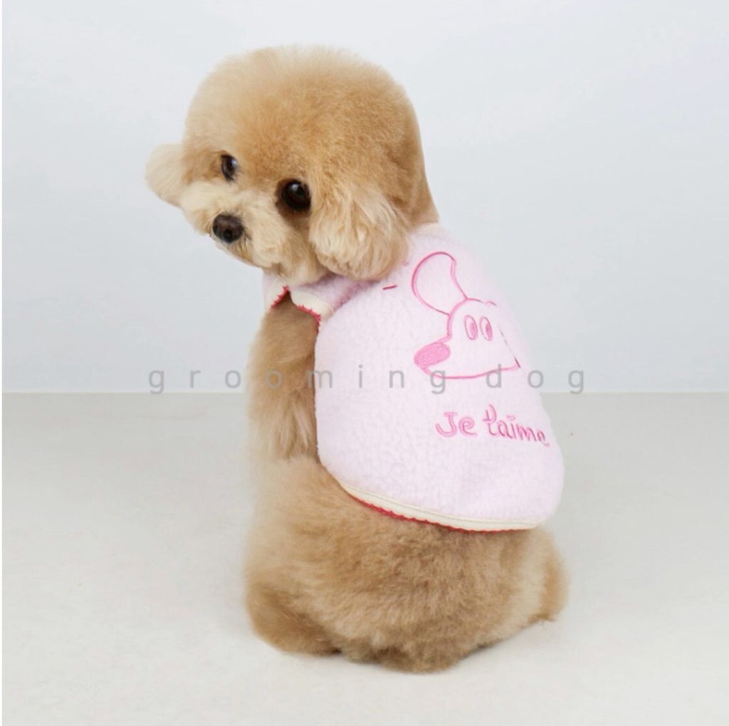 LINE_ALBUM_Grooming dog_260115_62