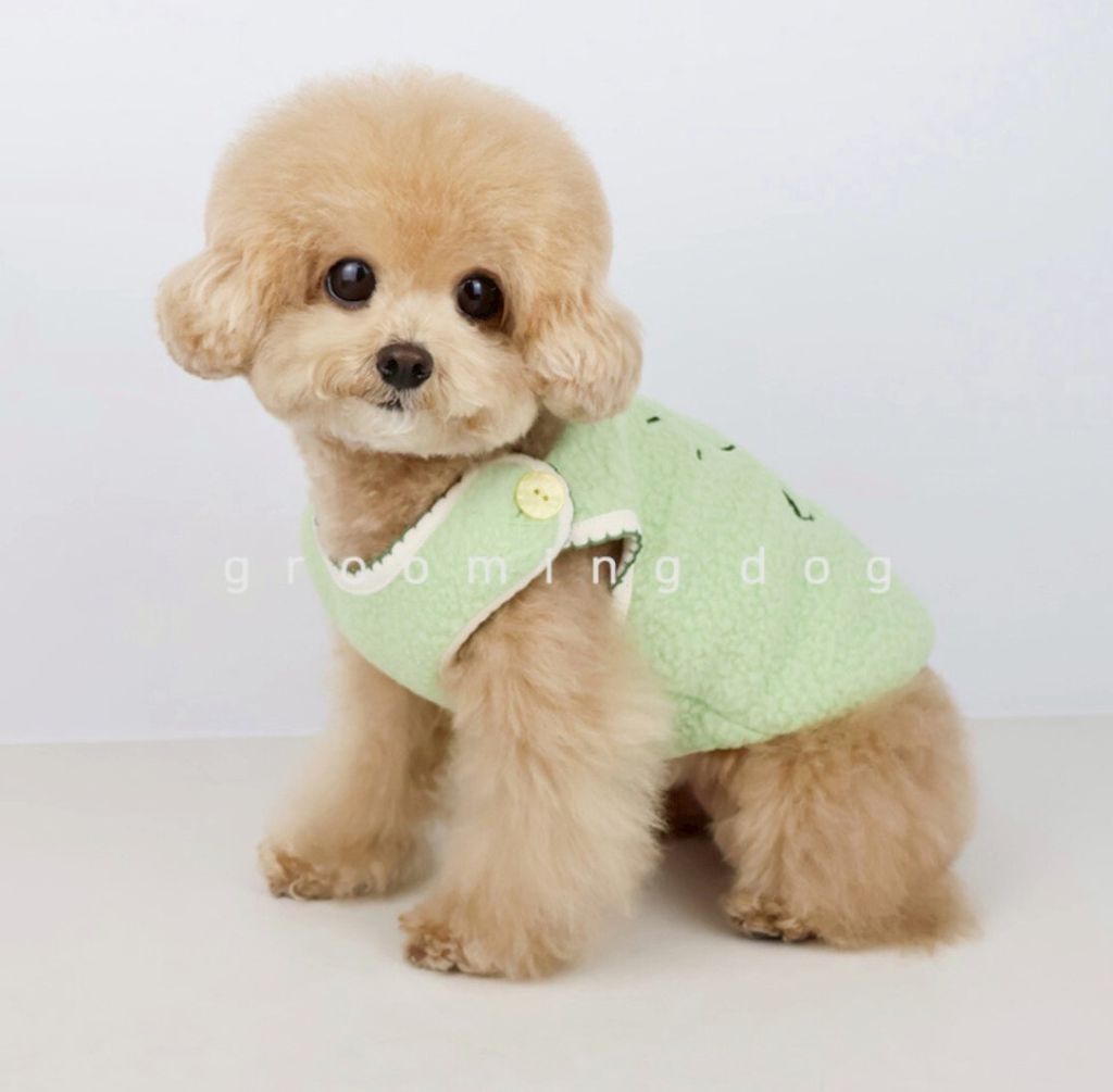 LINE_ALBUM_Grooming dog_260115_60