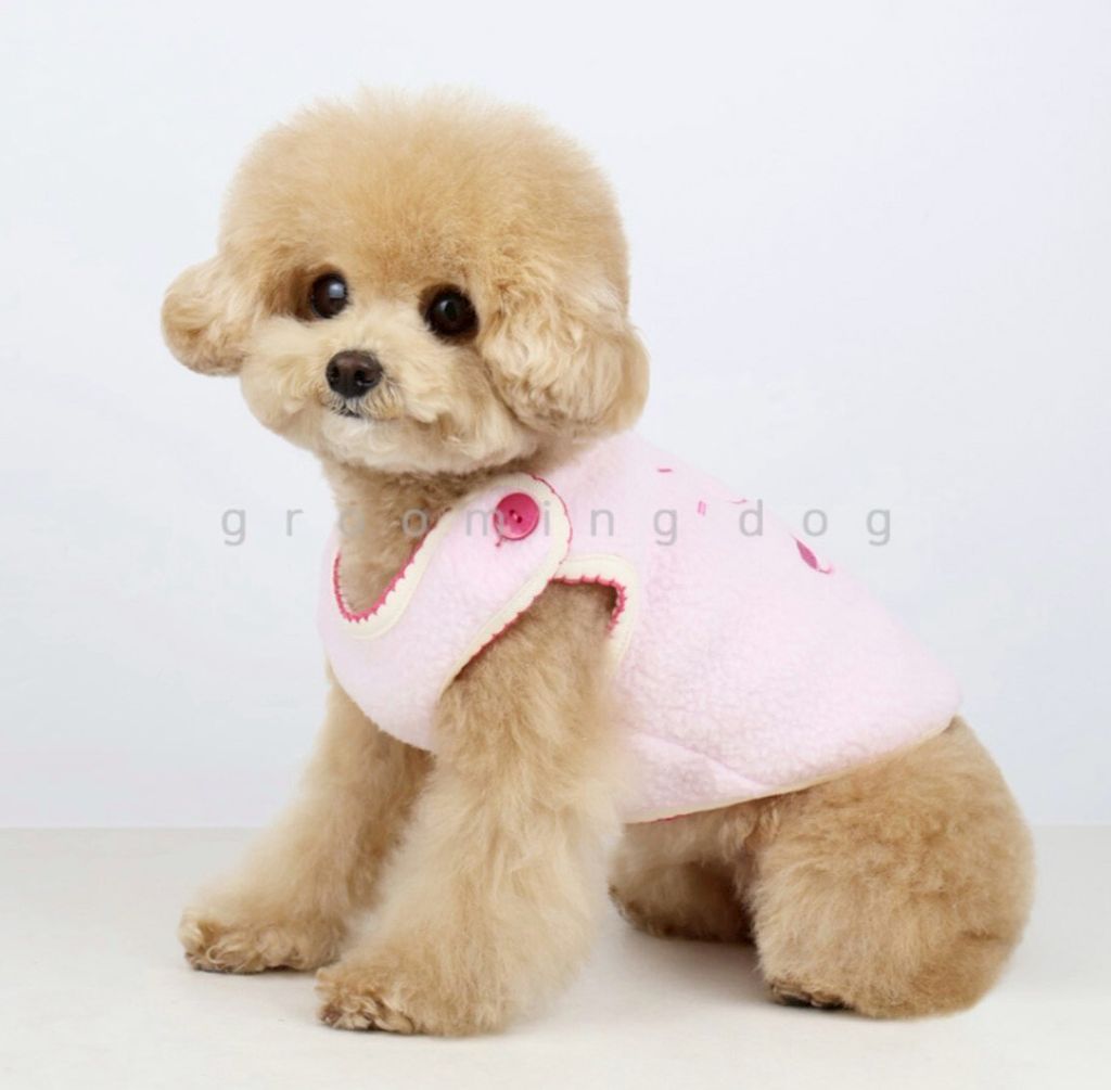 LINE_ALBUM_Grooming dog_260115_61