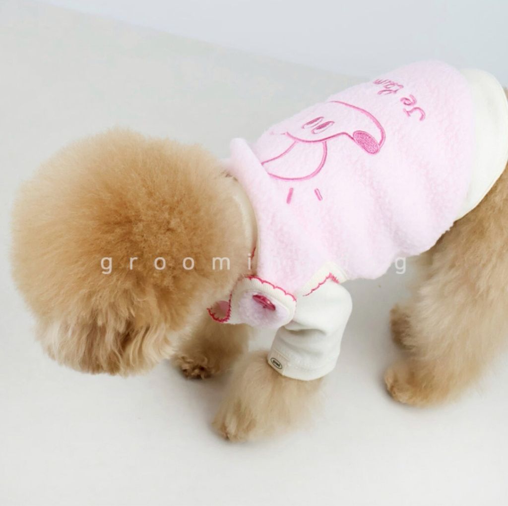 LINE_ALBUM_Grooming dog_260115_64