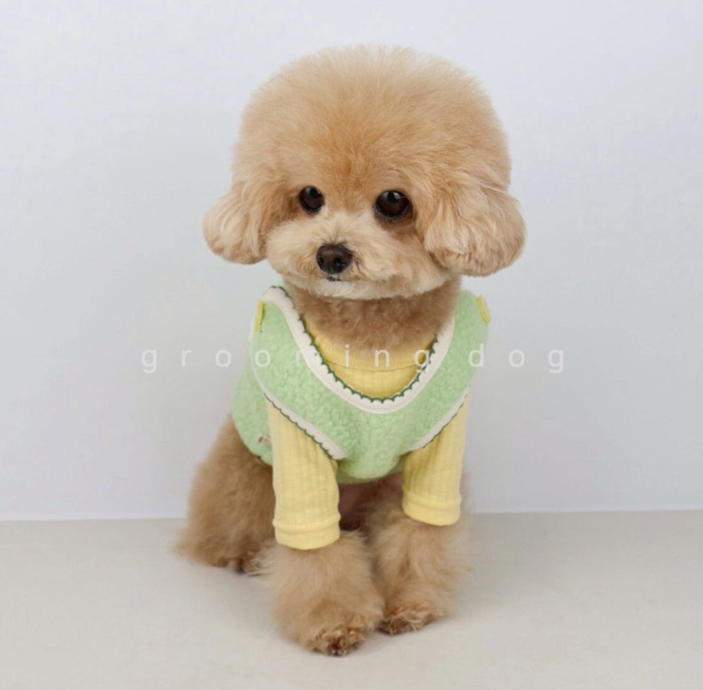 LINE_ALBUM_Grooming dog_260115_57