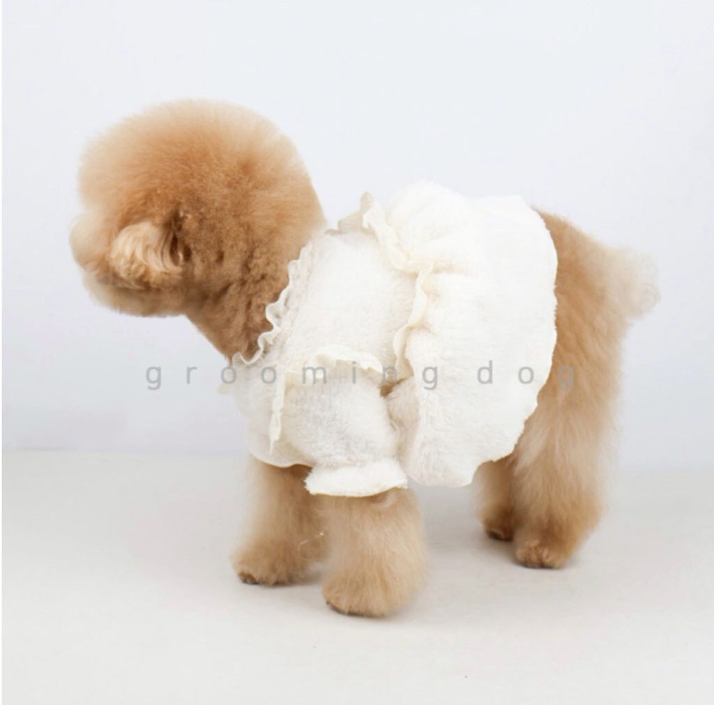 LINE_ALBUM_Grooming dog_260115_43