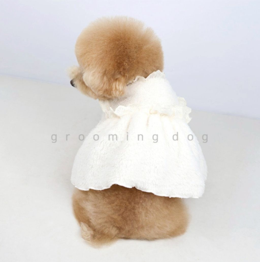 LINE_ALBUM_Grooming dog_260115_44