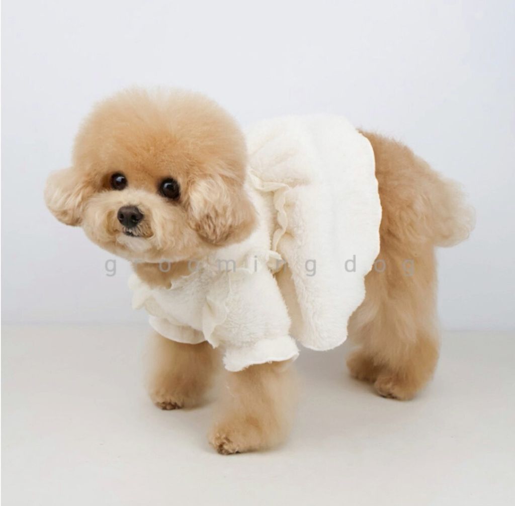 LINE_ALBUM_Grooming dog_260115_42