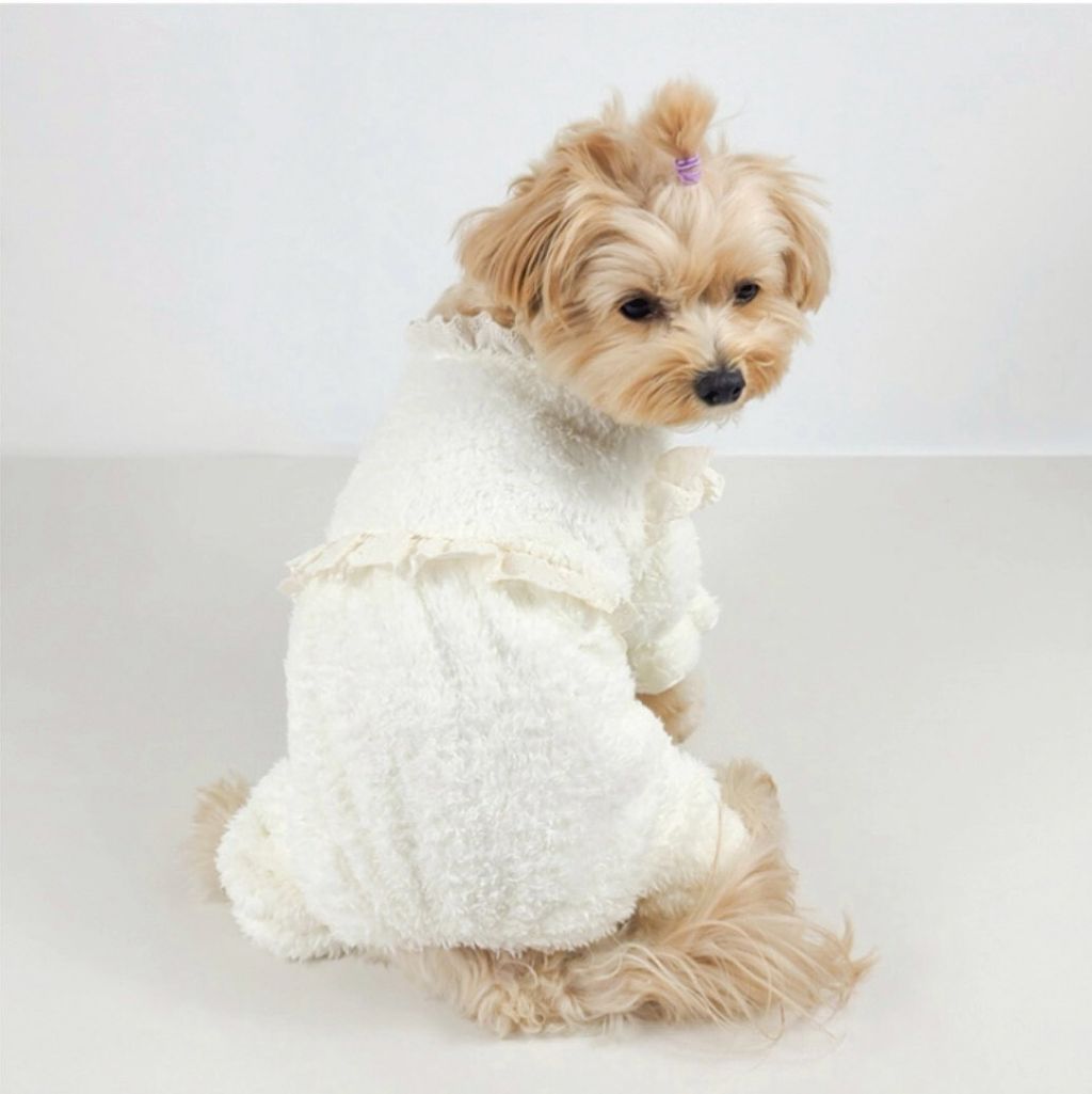 LINE_ALBUM_Grooming dog_260115_33