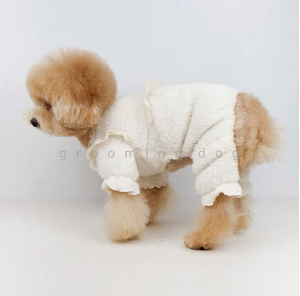 LINE_ALBUM_Grooming dog_260115_38