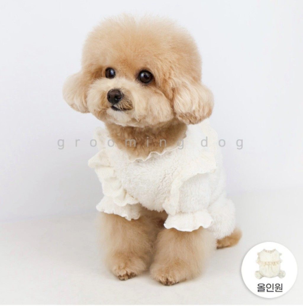 LINE_ALBUM_Grooming dog_260115_35
