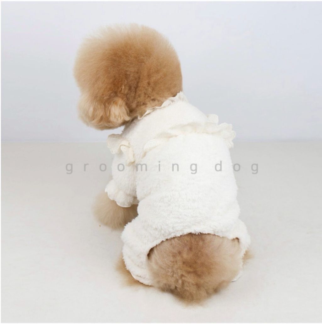 LINE_ALBUM_Grooming dog_260115_39
