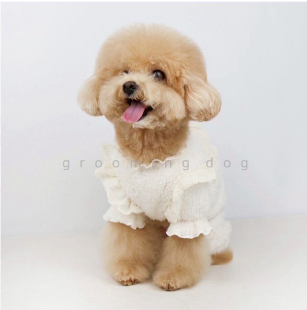 LINE_ALBUM_Grooming dog_260115_36