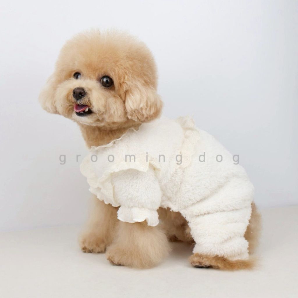 LINE_ALBUM_Grooming dog_260115_37