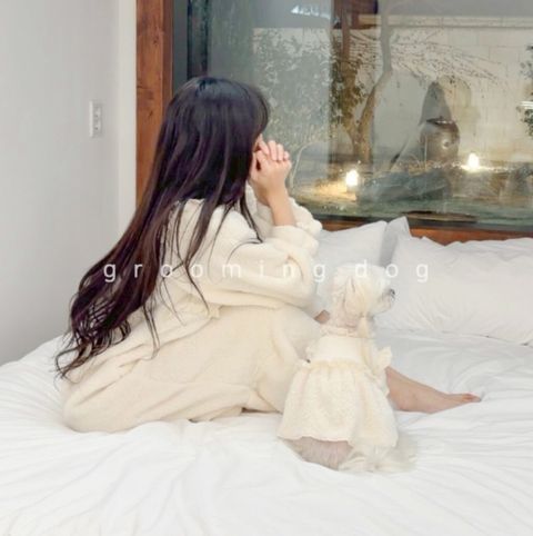 LINE_ALBUM_Grooming dog_260115_45