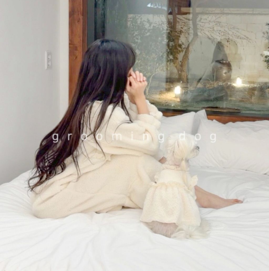 LINE_ALBUM_Grooming dog_260115_45