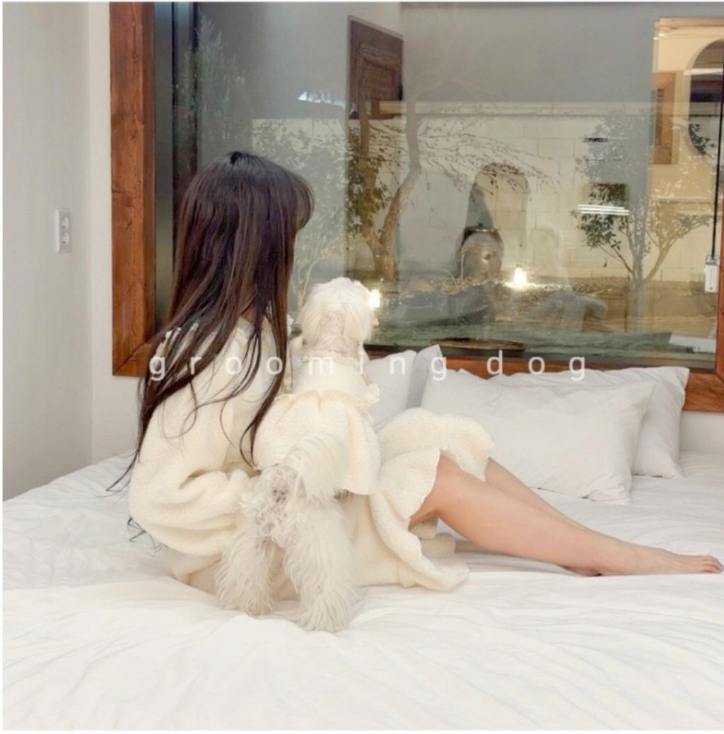 LINE_ALBUM_Grooming dog_260115_46