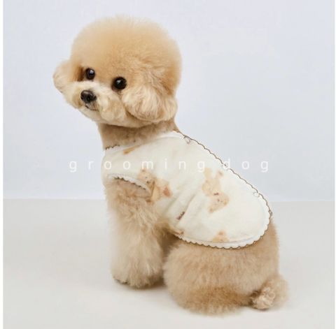 LINE_ALBUM_Grooming dog_260115_15