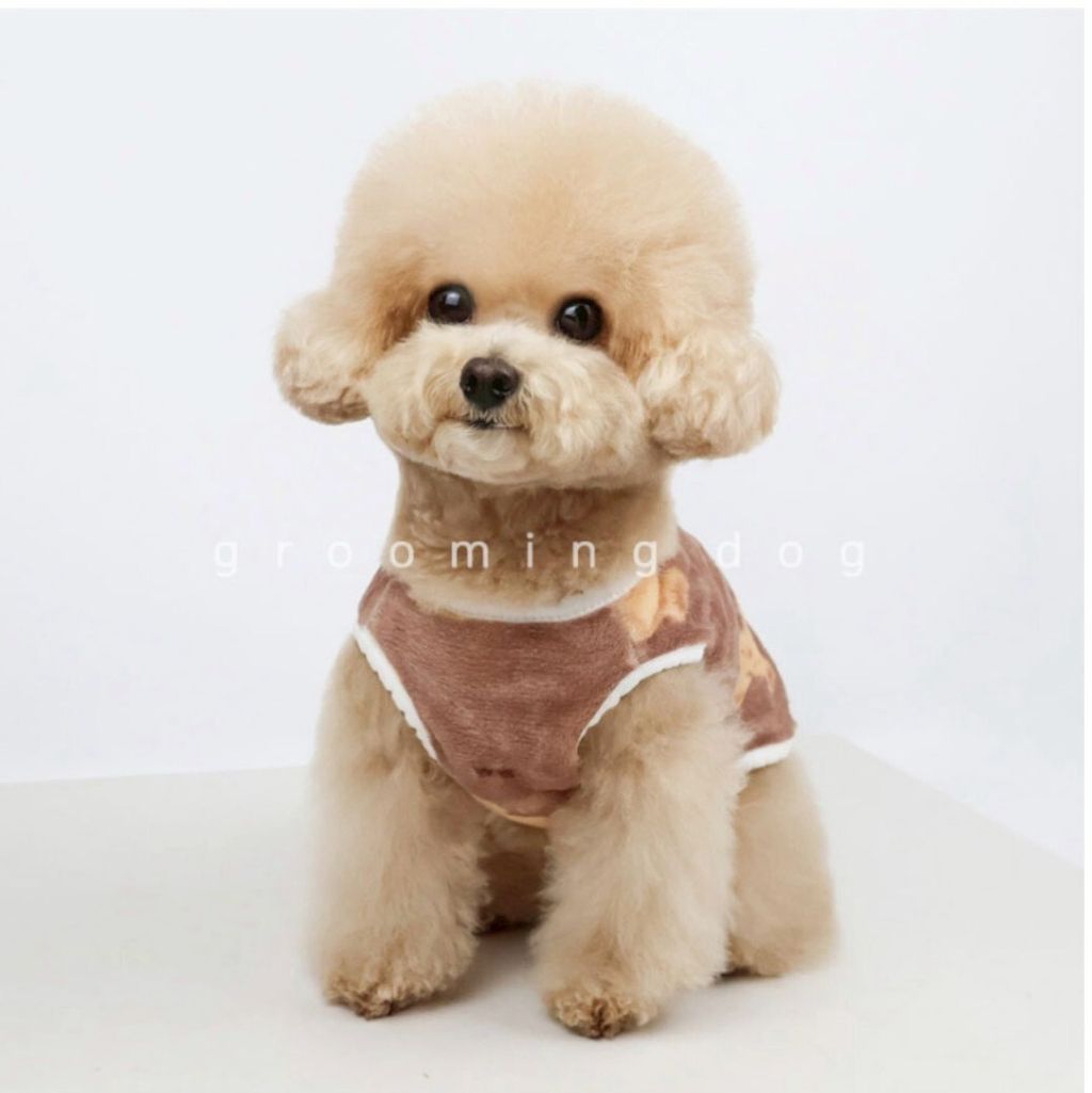LINE_ALBUM_Grooming dog_260115_17