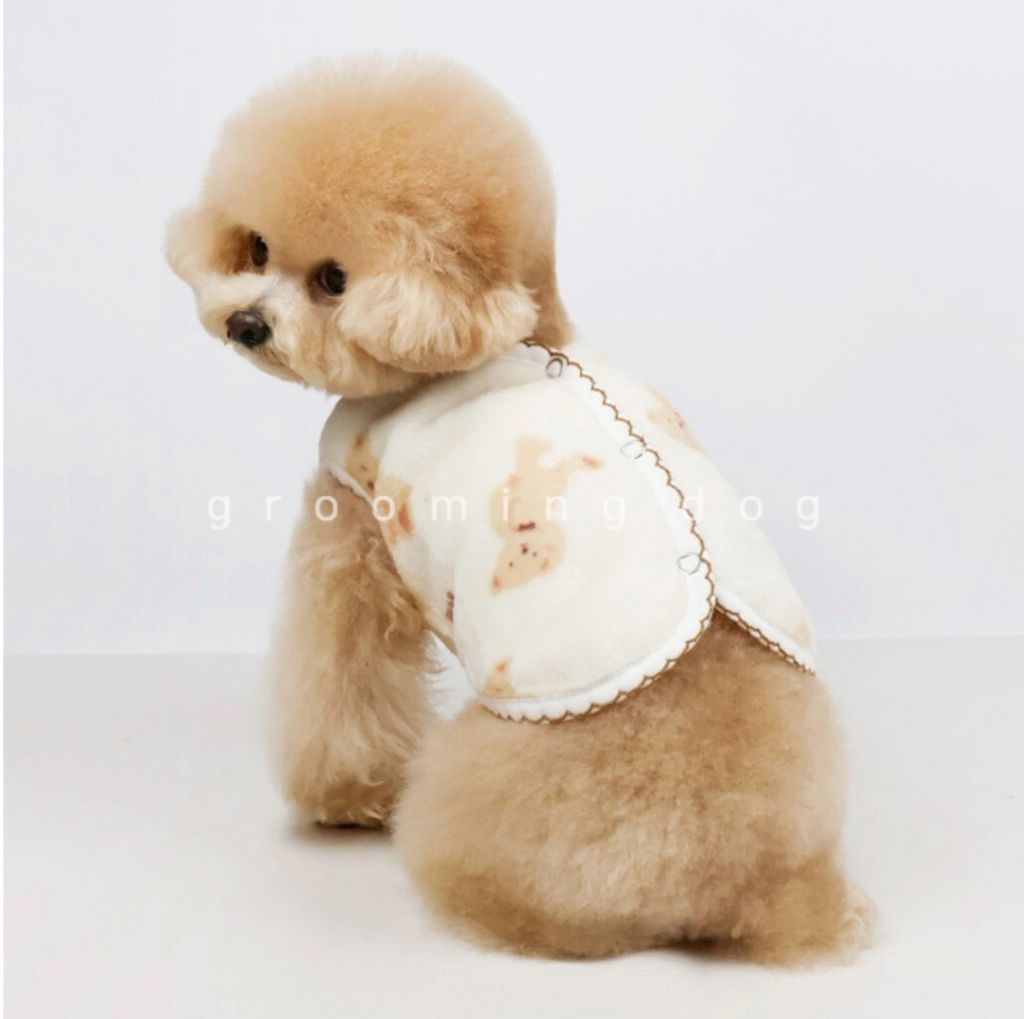 LINE_ALBUM_Grooming dog_260115_16