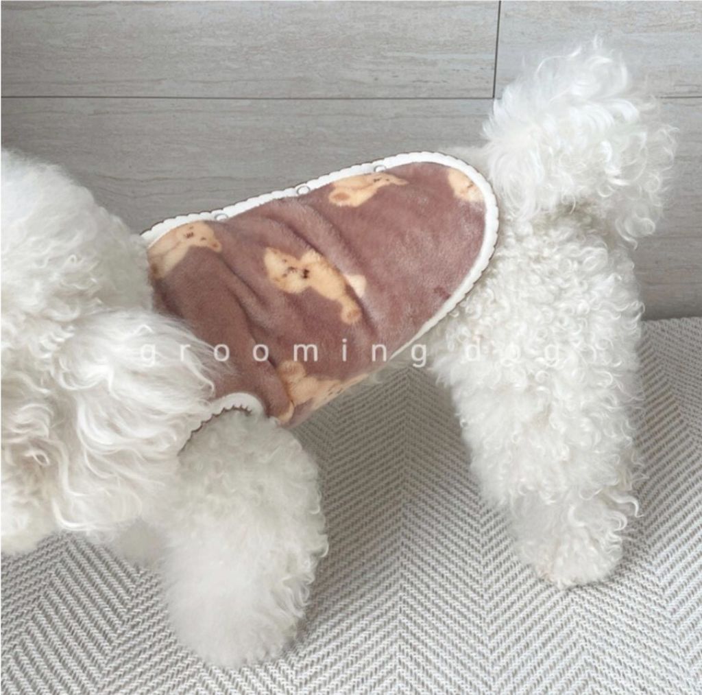 LINE_ALBUM_Grooming dog_260115_8