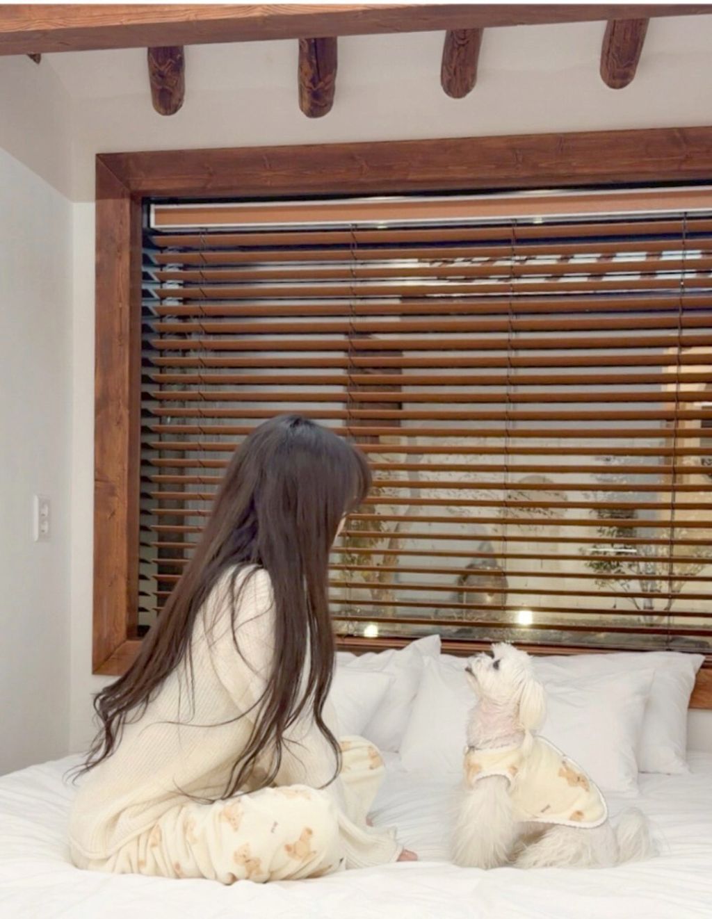 LINE_ALBUM_Grooming dog_260115_6