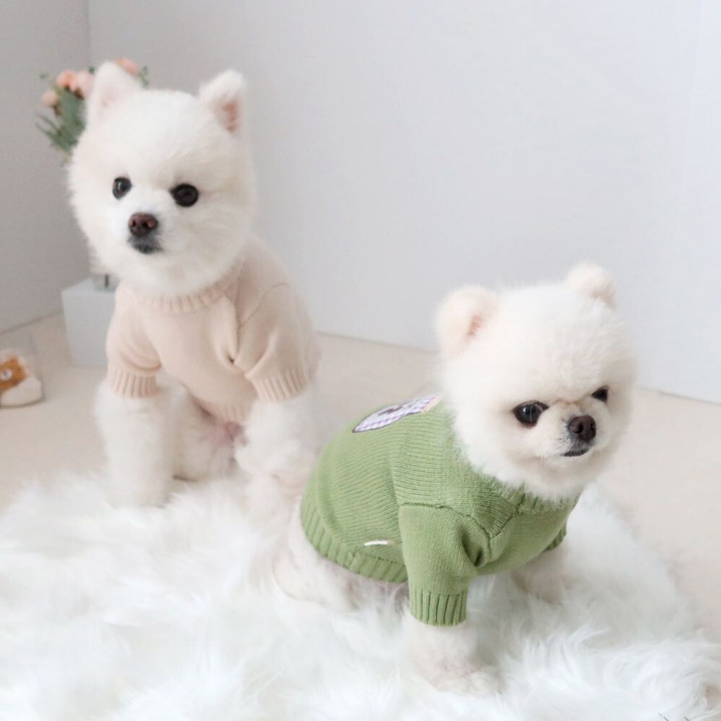 LINE_ALBUM_Honey dog 2_260115_56