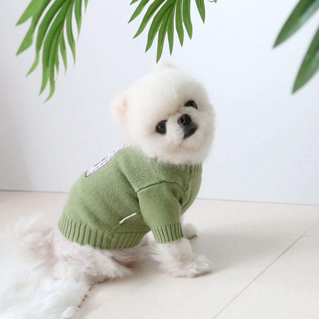 LINE_ALBUM_Honey dog 2_260115_53