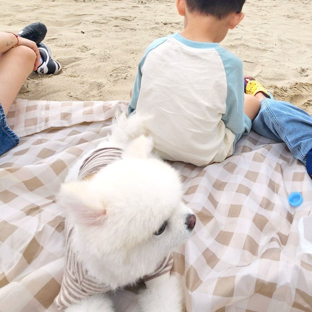 LINE_ALBUM_Honey dog 2_260115_26