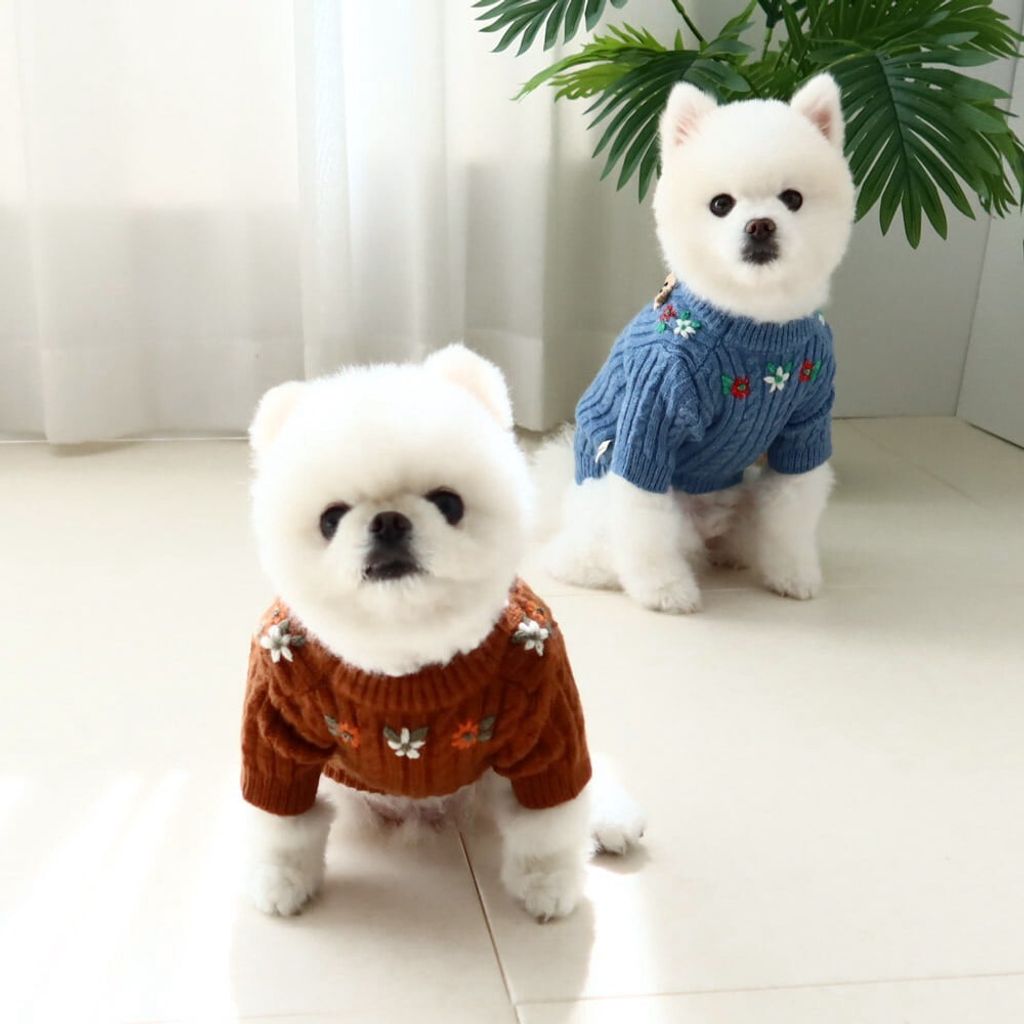 LINE_ALBUM_Honey dog 2_260115_19