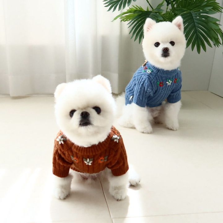 LINE_ALBUM_Honey dog 2_260115_19