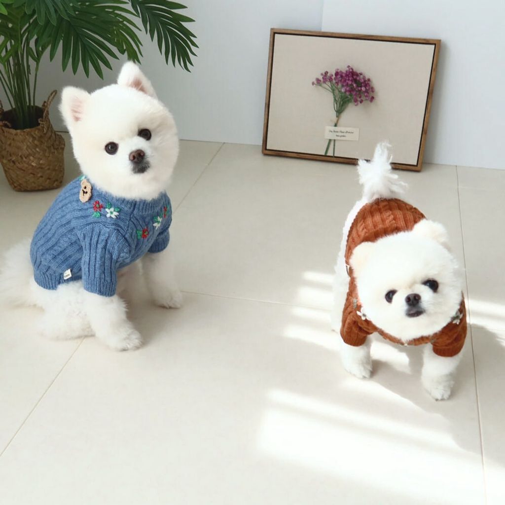 LINE_ALBUM_Honey dog 2_260115_20