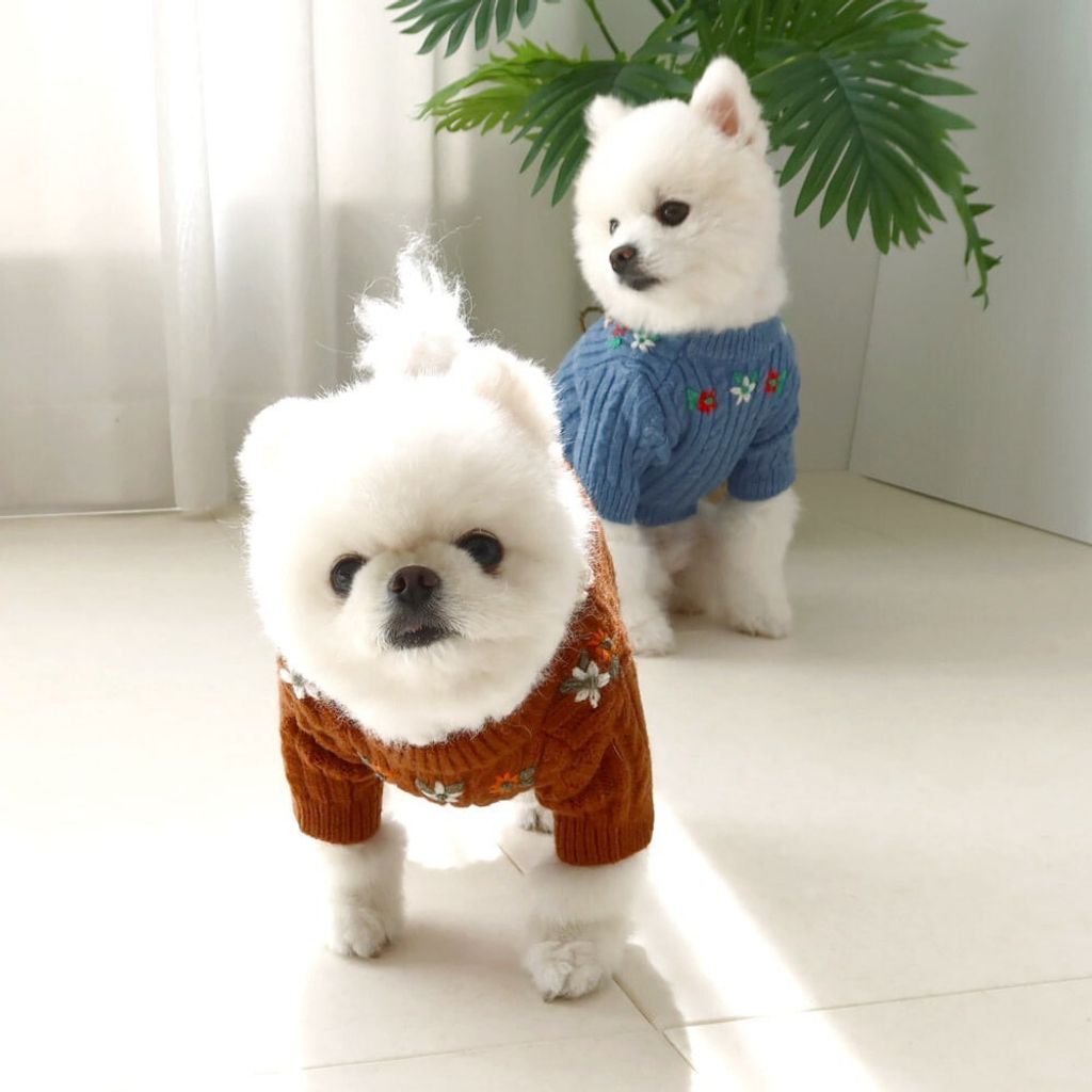 LINE_ALBUM_Honey dog 2_260115_18