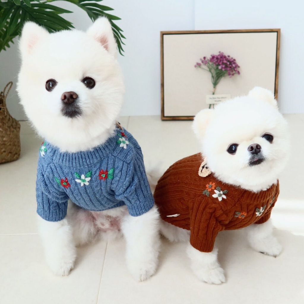 LINE_ALBUM_Honey dog 2_260115_15