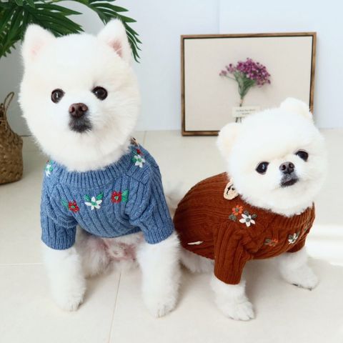 LINE_ALBUM_Honey dog 2_260115_15