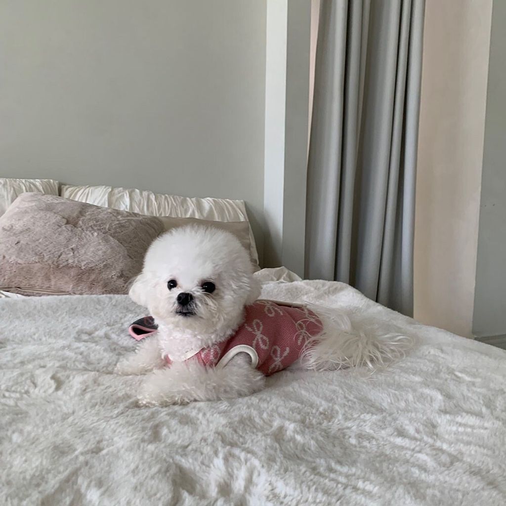 LINE_ALBUM_Frei_260115_25