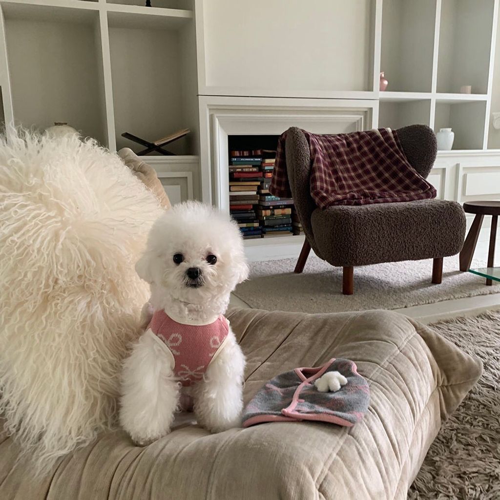 LINE_ALBUM_Frei_260115_19