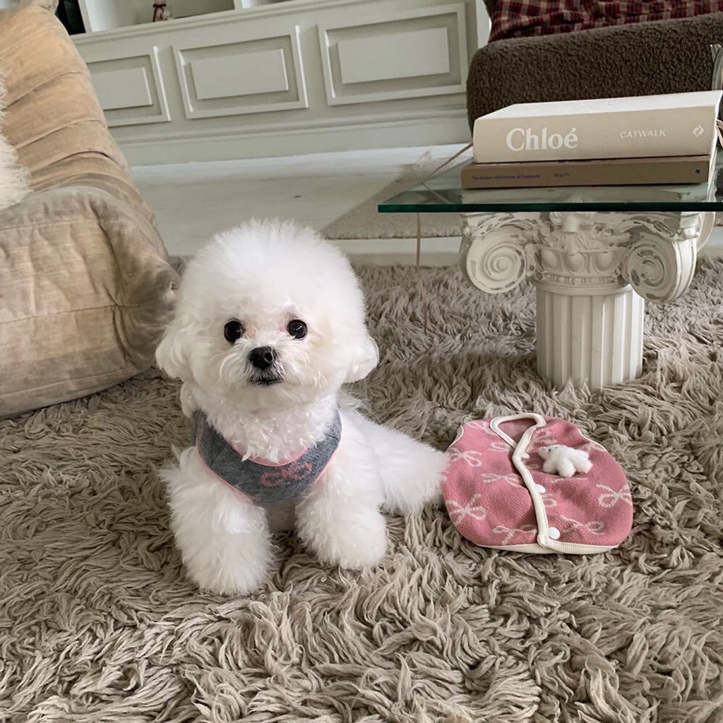 LINE_ALBUM_Frei_260115_20